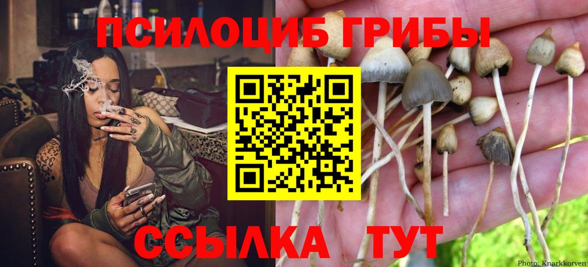 Миасс  Галлюциногенные грибы Cubensis  Вход с VPN 
